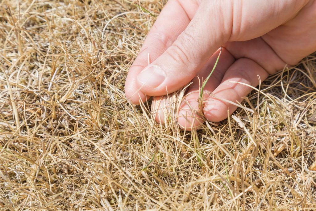 Drought in May 2020: Yes or no? Record lows for rain in April