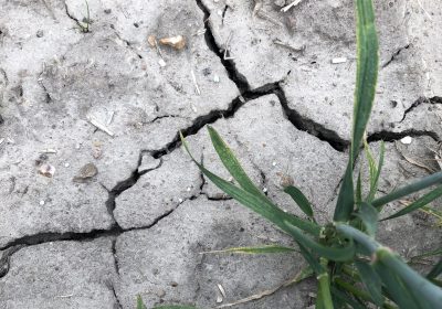 Endlich Regen, geht die Trockenheit und Dürre im Juni zu Ende?