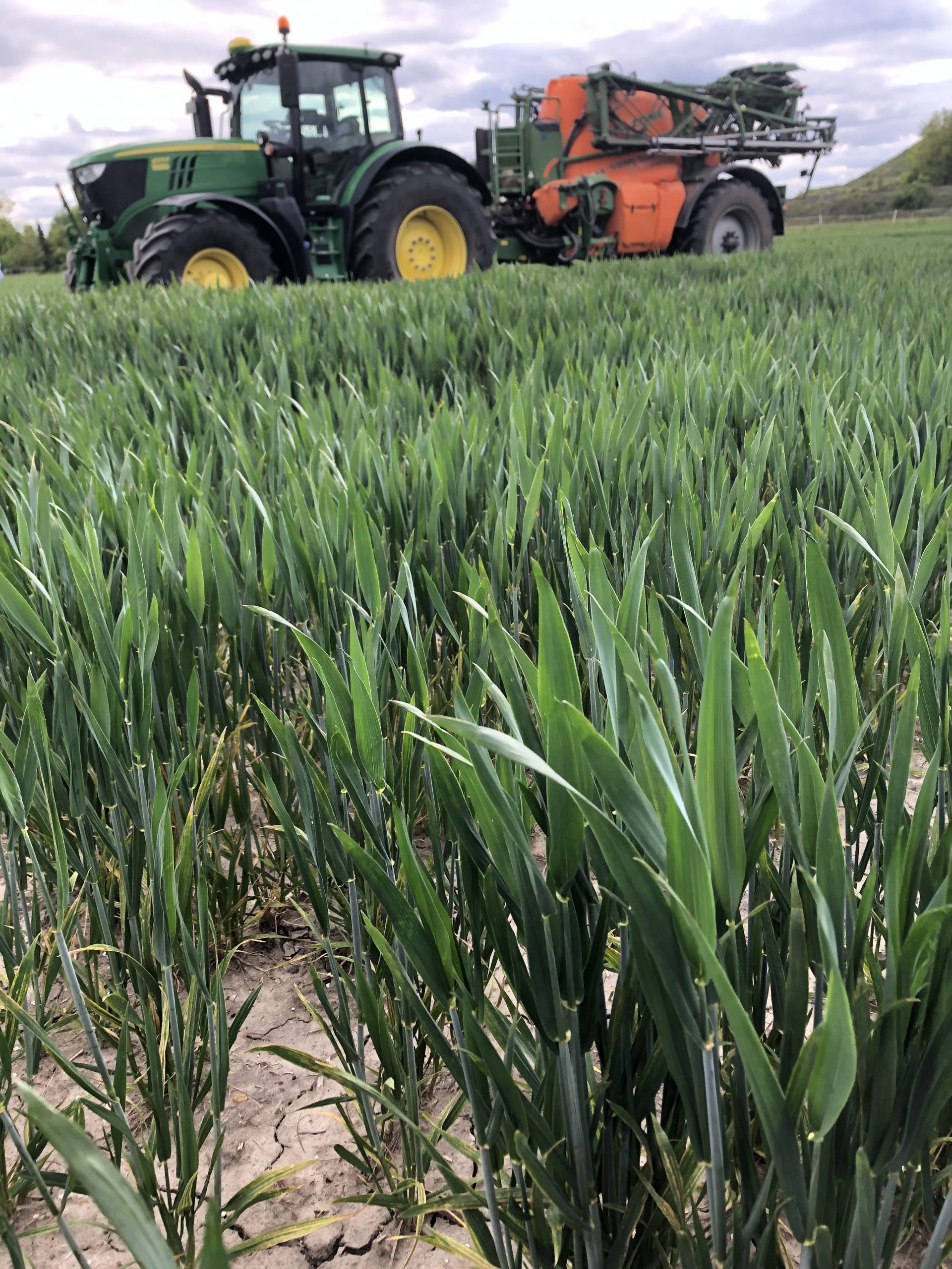 Trockener Boden in Sehnde bei Hannover in Niedersachsen am 17. Mai 2020